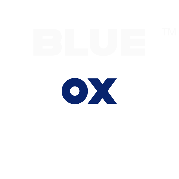The Blue Ox Group